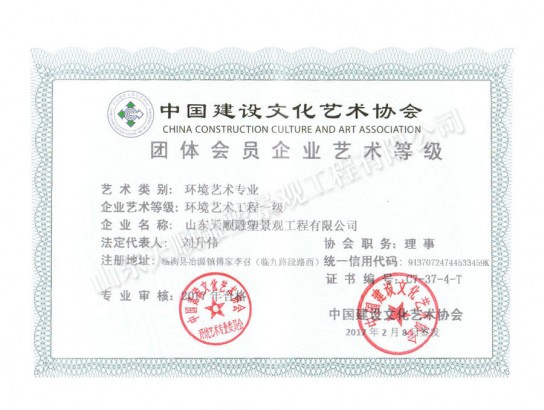 環(huán)境藝術企業(yè)藝術等級證書